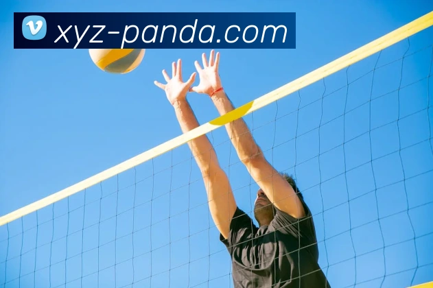 熊猫体育品牌故事