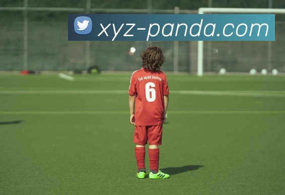 熊猫体育服务体系