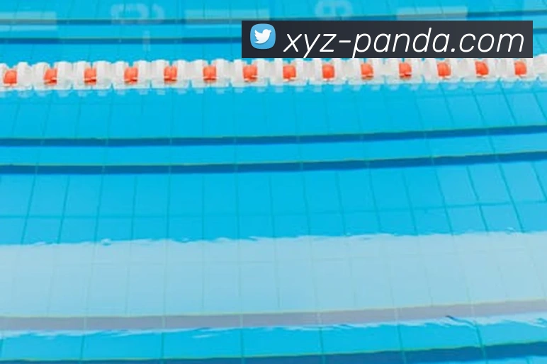 熊猫体育APP 体育赛事宣传图